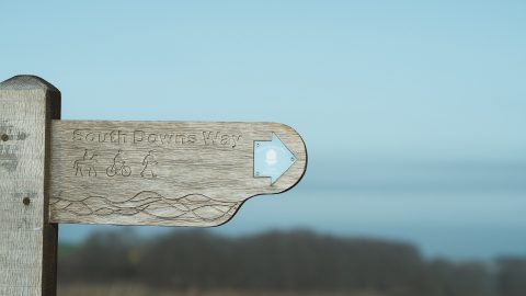 South Downs Way wooden signpost