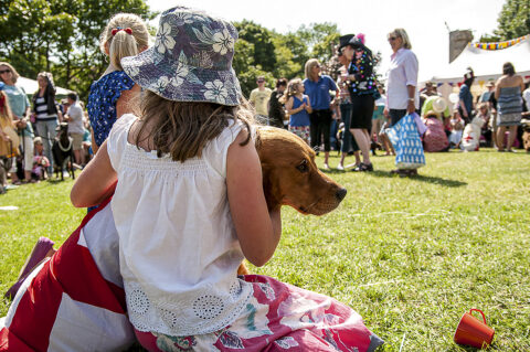 Ditchling Fair Dog Show